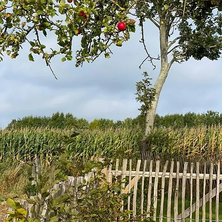 „klueterkamer“ - Hof Muehlenkoppel Hasselberg (Schleswig-Holstein)
