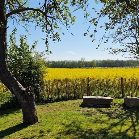„klueterkamer“ - Hof Muehlenkoppel Апартаменты